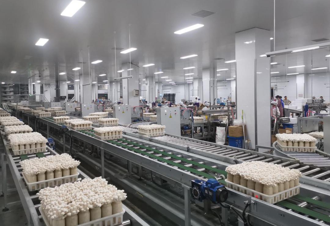 2022年中國(guó)倉(cāng)儲(chǔ)業(yè)市場(chǎng)運(yùn)行情況分析與后期展望