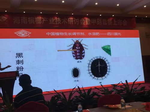 創(chuàng)新驅(qū)動(dòng)，合作共贏 2018檳榔產(chǎn)業(yè)技術(shù)研討交流會(huì)之軟件開(kāi)發(fā)篇