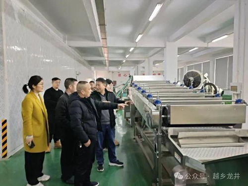 俞燎遠(yuǎn)研究員深入嵊州調(diào)研，為茶產(chǎn)業(yè)技術(shù)推廣與升級(jí)把脈開(kāi)方